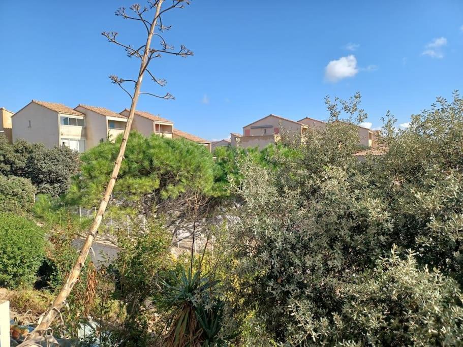 Plain-Pied, Terrasse, Piscine, Pleine Vue Mer, Plage A 6' A Pied, Parking, Wifi Fleury  Bagian luar foto